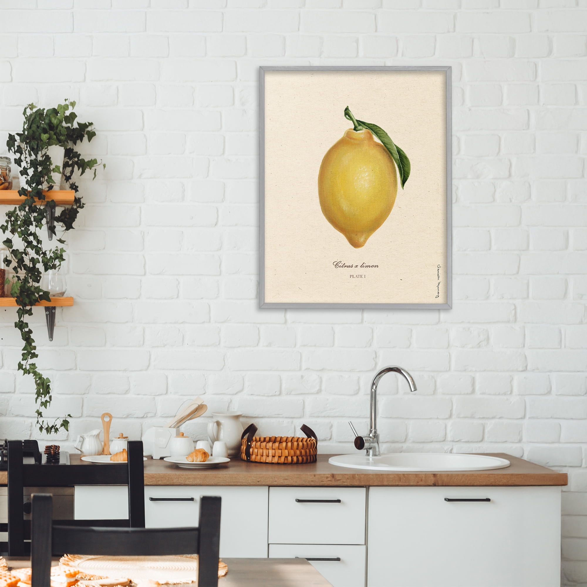 Stupell Industries Lemon Fruit Portrait Gray Framed Giclee Art, design by Danielle Murray