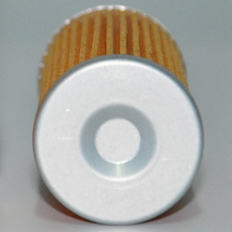 P502166 Diesel Fuel Filter Element PF981 P502166 Diesel Fuel Filter Element PF981