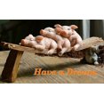 thumbnail image 3 of Miniature Pig Statue- 3 Pigs with a Cat Figurine, 3 of 3
