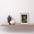 thumbnail image 2 of Ernst Haeckel Style Fern Fronds Leaf Illustration Artwork Framed Wall Art Print 9X7 Inch, 2 of 5