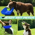 thumbnail image 2 of Lanzador automático de pelotas de tenis Franklin Pet Ready Set Fetch, 2 of 9