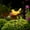 Yellow, variant on Weloille New Bird Metal Decorative Garden Stakes for Indoor and Outdoor Decorations Metal Flowers Great for Patio and Decorations