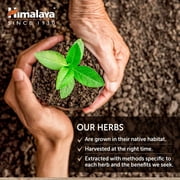 Himalaya HeartCare, Cholesterol & Blood Pressure Supplements for Cardiovascular Wellness and Heart Health, 240 Capsules