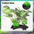 thumbnail image 2 of Unique Bargains 1 Set Aquarium Plastic Plants Driftwood Betta Silk Plants Silk Aquarium Plants for Betta Fish Green 5pcs, 2 of 6