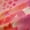 Pink, variant on Castle Fairy Pink Salamander Black Out Curtains,Axolotl Curtains Pack of 2 (42x63 Each)