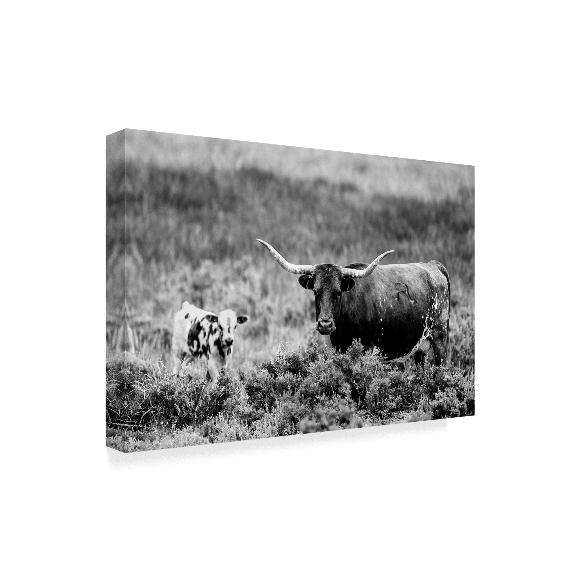 Trademark Fine Art 'B&W Longhorn II' Canvas Art by Tyler Stockton