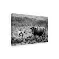 thumbnail image 2 of Trademark Fine Art 'B&W Longhorn II' Canvas Art by Tyler Stockton, 2 of 4