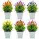 thumbnail image 3 of Gwong Decoración hogareña Flor de lirio artificial Bonsai Garden DIY Disposición de la fiesta de bodas Decoración de escritorio Gwong 21033993, 3 of 7