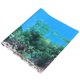 thumbnail image 3 of Aquarium Background Sticker 3D Designed For Fish Tank 122 X 60 X 0.1 Cm Decorative 1Set, 3 of 5