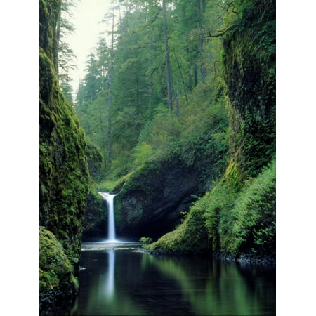 Punch Bowl Falls, Eagle Creek, Columbia River Gorge Scenic Area, Oregon, USA Print Wall Art By Janis
