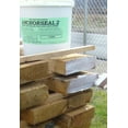 Anchorseal 2 Green Wood Sealer Gallon