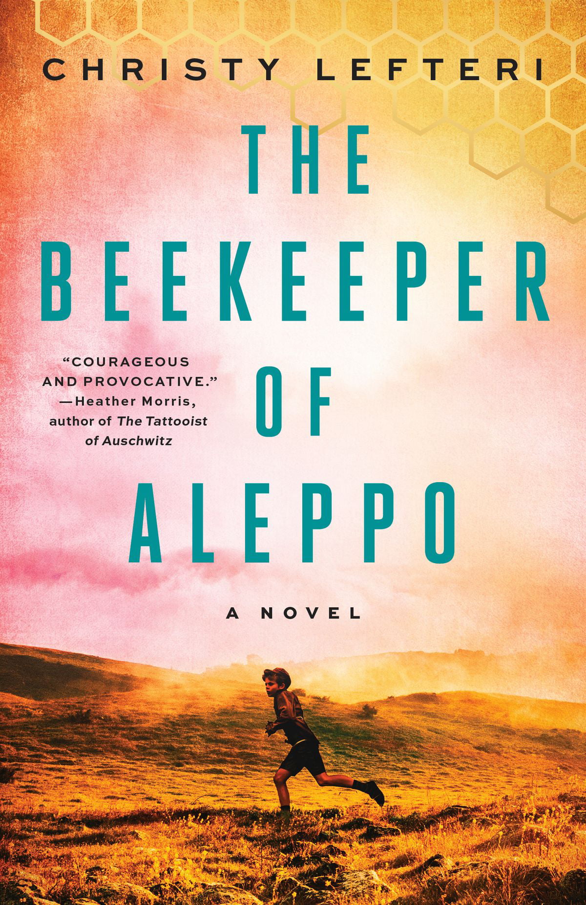 guardian book review beekeeper of aleppo