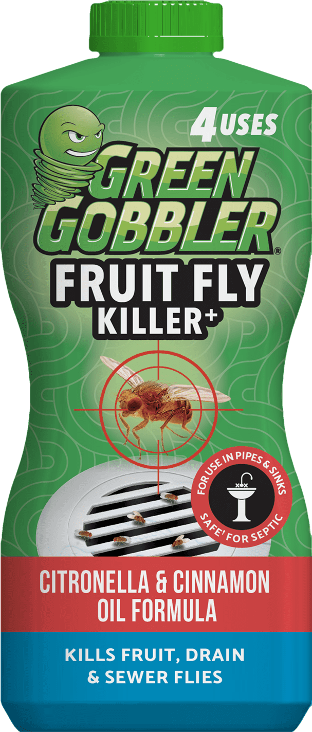 Green Gobbler Drain Fly Killer and Aunt Fannie's FlyPunch Fruit Fly Trap Bundle