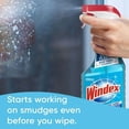 thumbnail image 2 of Windex� Glass Cleaner Refill, Original, 2 of 5