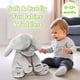 thumbnail image 3 of Peluche Elefante Tippi Peek a Boo 30x30x33 cm Suave, 3 of 8