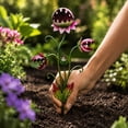 thumbnail image 5 of Bklubk Metal Colored Floor Inserts Plants Iron Ornaments Garden Decorations Handicrafts, 5 of 7