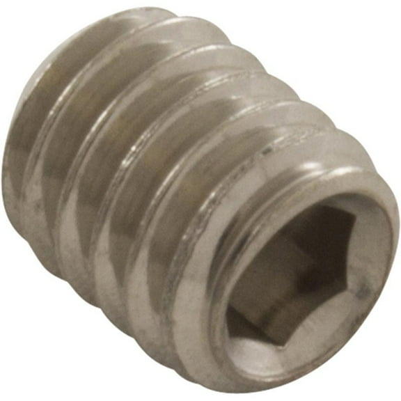 Set Screw, Anthony Apollo DE Filter, Rear End Bell, Generic