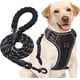 thumbnail image 1 of Negro - Arnés antitirones para perros medianos y grandes, tejido Oxford reflectante ajustable para un fácil control, incluye una correa resistente de regalo (talla L para perros grandes de 18 a 30 cm), 1 of 5