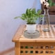 thumbnail image 4 of IDEANATEGRATE Soporte Móvil Para Plantas Con Redonda, Giratorias Y Recogedor De Integrado, 4 of 6
