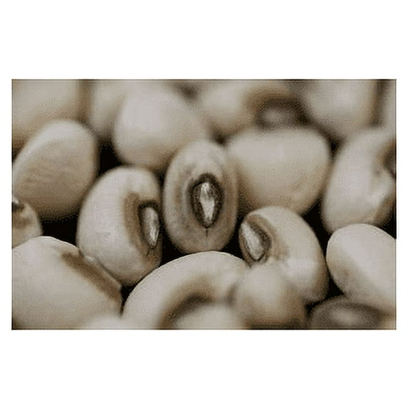 Pea Blackeye Great Heirloom Vegetable By Seed Kingdom BULK 800 Seeds