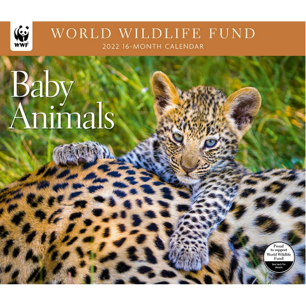 baby-animals-wwf-2022-wall-calendar-other-walmart-walmart