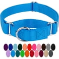 thumbnail image 1 of LAICAIW-Ice Blue Martingale Heavy Duty Nylon Dog Collar-21 Vibrant Color Options (3/4 Inch Width, Small), 1 of 7