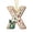 Gingerbread_#2, variant on 26 Letters Christmas Gingerbread Alphabet Ornament, A to Z Letters, Acrylic Flat Candy Cane Initial Letter 2D A Pendant with Berries Pattern, Christmas Tree Hanging Decor, Surprise Gift Car Rearview