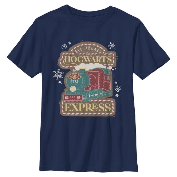 Boys Harry Potter All Aboard Hogwarts Express T Shirt