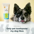 thumbnail image 4 of Oxyfresh Premium Dog Toothpaste – Best Dog Teeth Cleaning & Dog Plaque and Tartar Fighter – Safe for Cat Toothpaste Too – Vet Formulated Pet Toothpaste, 4oz, 4 of 11