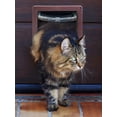 thumbnail image 3 of Deago Large Cat Door (Outer Size 10.9" x 9.8"), 4 Way Locking Cat Flap Door for Interior Exterior Doors, Weatherproof Pet Door for Cats & Dogs up to 27.5 lbs, 3 of 10