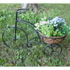 Hi-Line Gift Ltd. Tricycle Metal Plant Stand