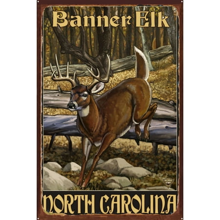 Banner Elk North Carolina Whitetail Deer Rustic Metal Art Print By