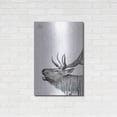thumbnail image 3 of Luxe Metal Art 'Deer' by Clean Nature, Metal Wall Art, 24"x36", 3 of 9