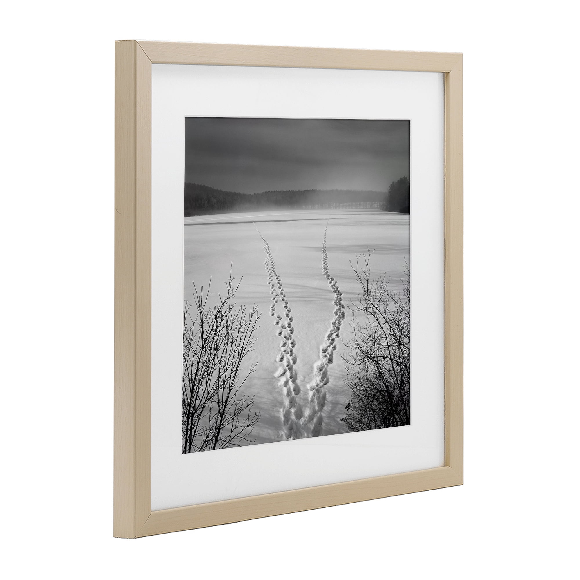 Stupell Industries Snowstep Tracks Across Frozen Lakes Birch Framed Print Under Glass, design by Chip Forelli