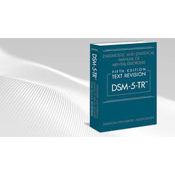 DSM5TR Carnet à Spirale
