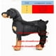 thumbnail image 4 of Protector de patas traseras para mascotas, rodillera ajustable, soporte para patas, corvejón para perros (M - Negro), 4 of 5