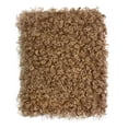 thumbnail image 2 of Sharprepublic Curly Fabric 16.9x14.9 inch Faux Fur Cloth for DIY Crafts Blanket Upholstery Camel, 2 of 8