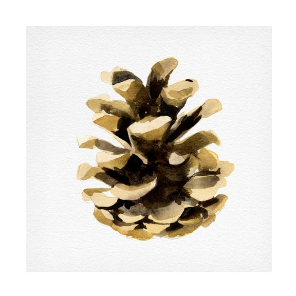 Emma Caroline 'Conifer Cone II' Canvas Art