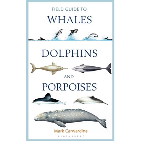 Handbook Of Whales Dolphins And Porpoises Walmart Com