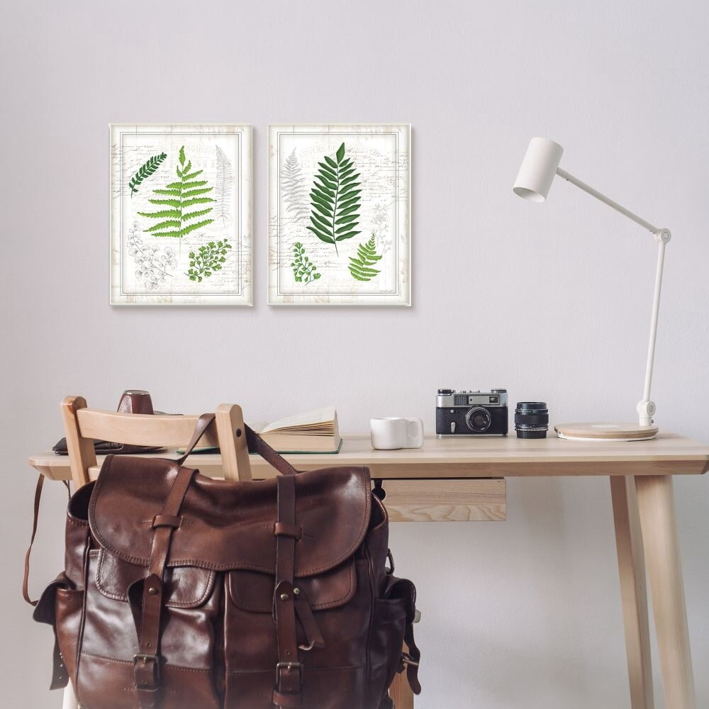 Stupell Industries Antique Fern Study with Script Forest Greenery Designed by Jennifer Pugh