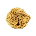 thumbnail image 4 of 3" Sea Sponge, 4 of 8