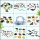thumbnail image 1 of Simulación de rana, serpiente, tortuga, pez tropical, insecto, modelo animal, arena, goma, juguete para niños, 1 of 4
