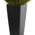 thumbnail image 3 of Mohlenbechia Ball Artificial Plant in Black Tower Vase, 3 of 10
