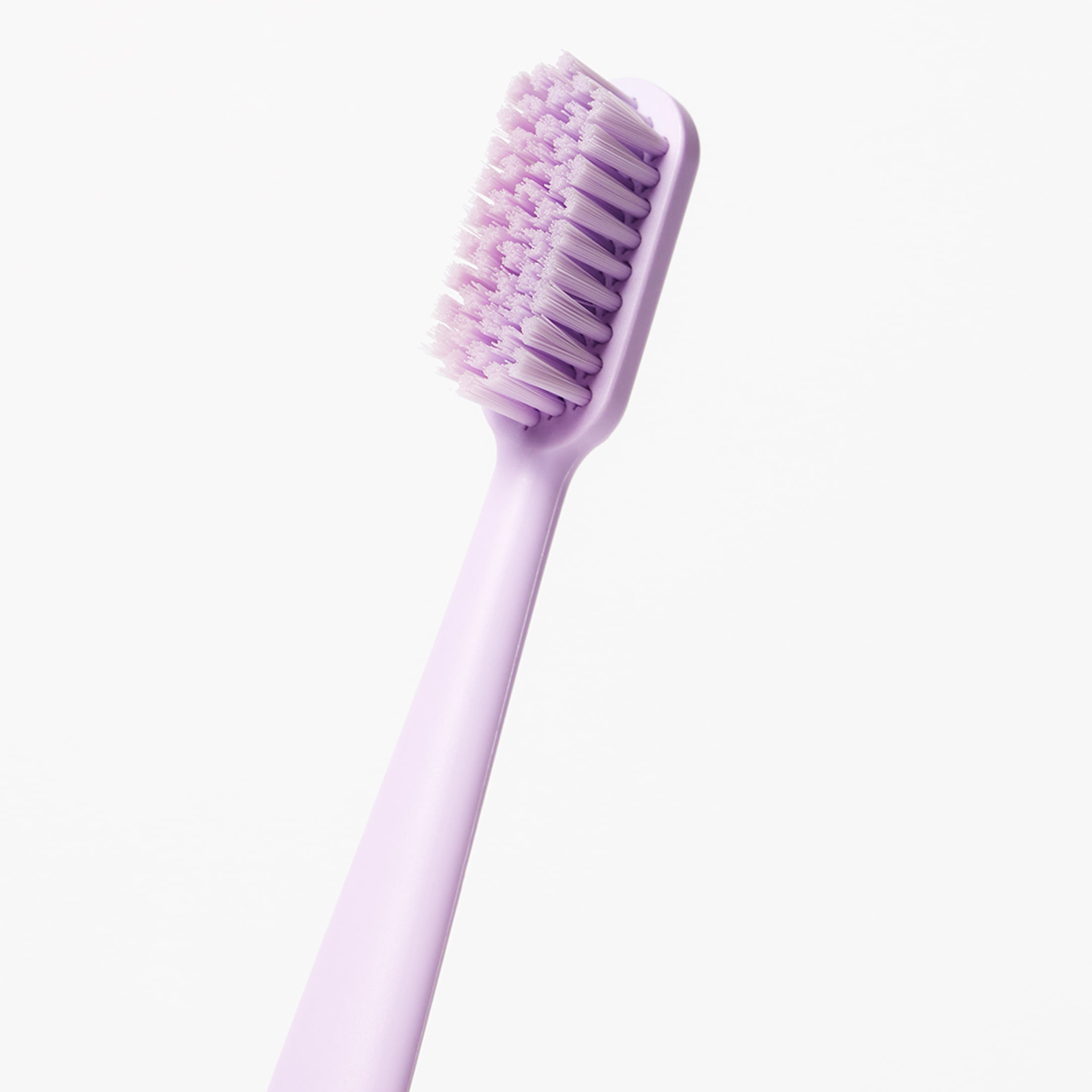 Boie, Toothbrush, Blue & Thistle, Extra-soft, Adult, 2 Pack
