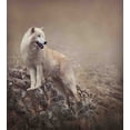 thumbnail image 3 of Animal Duvet Cover Set, White Wolf on Rocks at the Night Misty Weather Wildlife Nature Scenery Print, Decorative 3 Piece Bedding Set with 2 Pillow Shams, Queen Size, Warm Taupe, by Ambesonne, 3 of 3