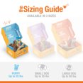 thumbnail image 5 of Nylabone The Box - Chew Toys & Treat Puppy Gift Box Variety Small (4 Count), 5 of 11