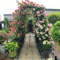 thumbnail image 3 of Metal Garden Arch with two plant stands 79.5'' Wide x 86.6'' High Climbing Plants Support Rose Arch Outdoor Black, 3 of 13