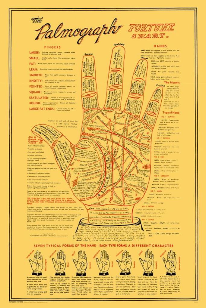 Palmograph Palmology Fortune Telling Chart Fingers Hands Info Poster