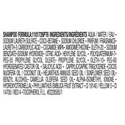 LOreal Paris Elvive Extraordinary Oil Nourishing Shampoo, 12.6 fl. oz.