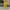 Yellow, variant on Dpytoraw Women's Plus Size Tethered Straight Cargo Pants Straight Wide Leg Loose Casual Trousers White